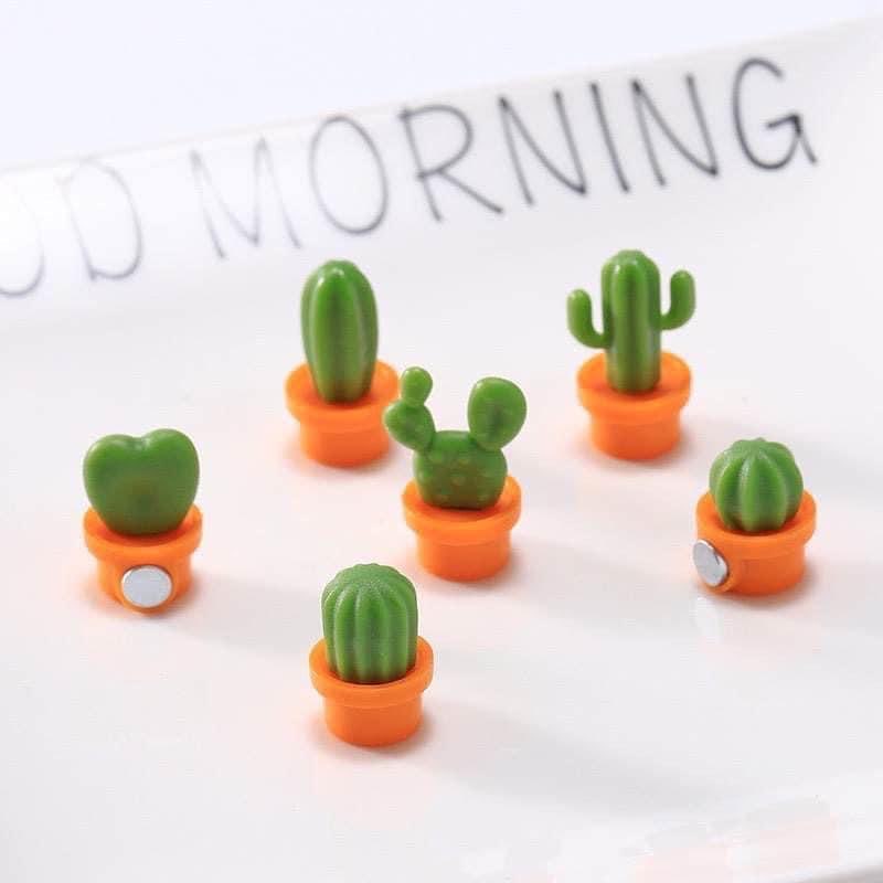 Succulent Magnets