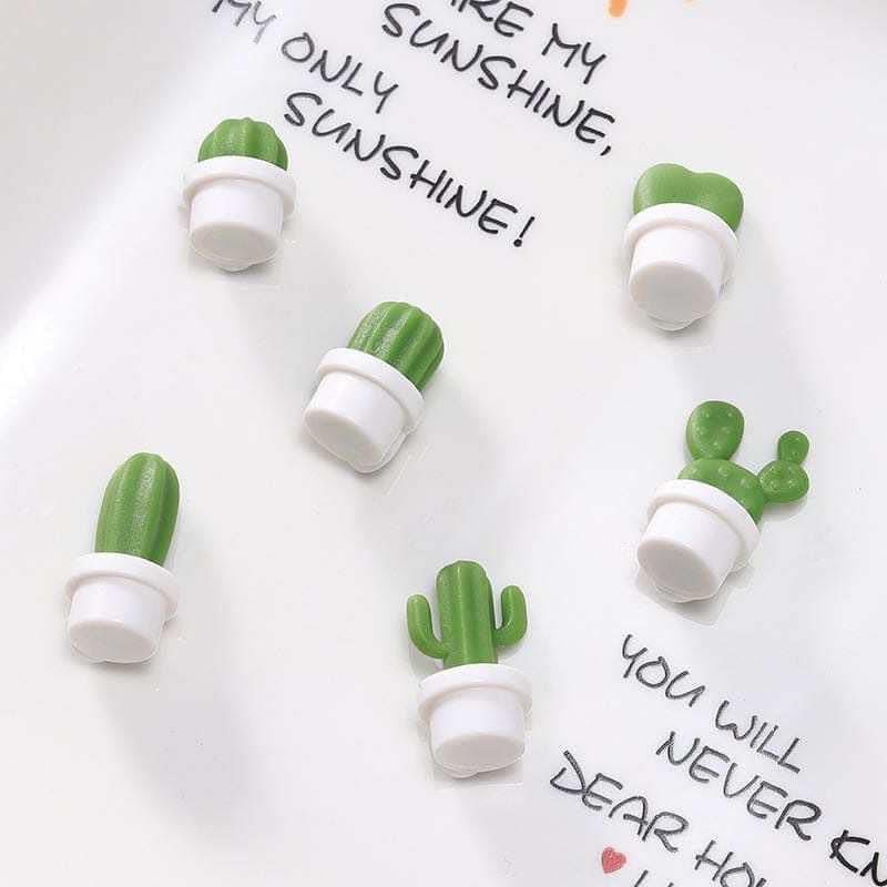 Succulent Magnets